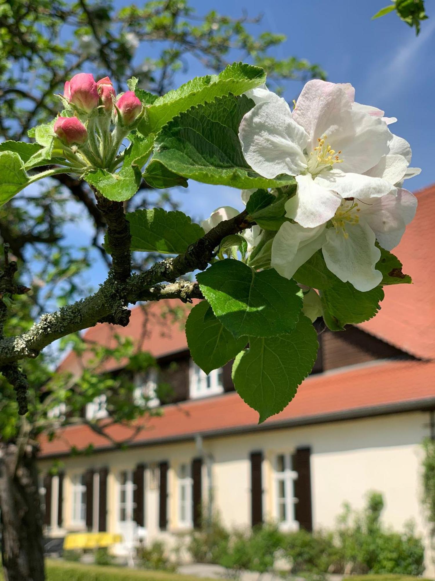 Landhaus Saaleck Naumburg  Eksteriør bilde